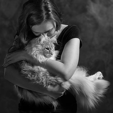 Katzenfotograf