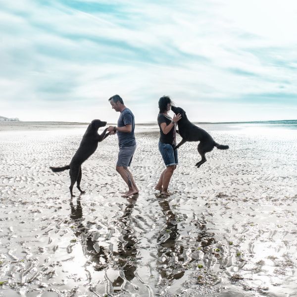 on Location mit Hund