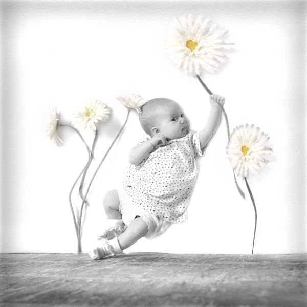 Babyfotografie