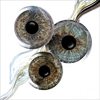 Iris Fotografie-Deine Augen im Fokus