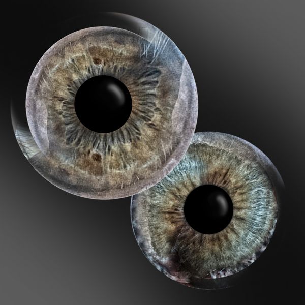 Irisfotografie