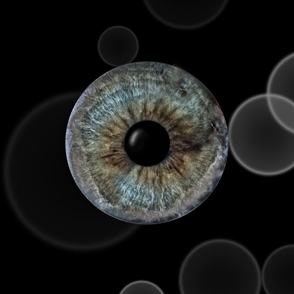 Irisfotografie