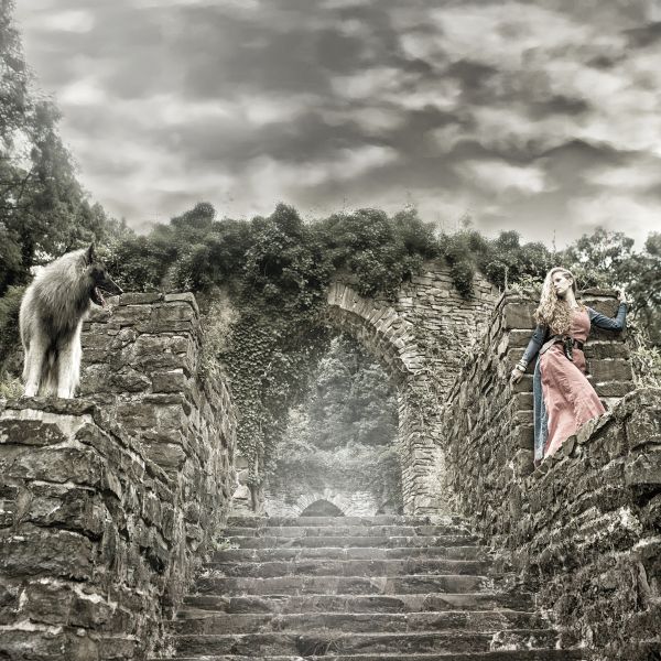 on Location mit Hund